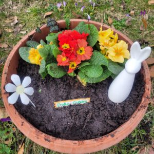 FroheOstern - Frühblüher - Kübel
